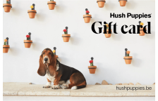 Hush Puppies IN 1000 INR